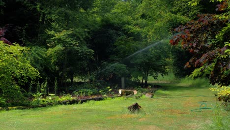 Footage-showing-a-sprinkling-system-in-garden-watering-plants-and-borders