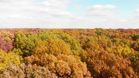 Luftdrohne-4K-Vogelperspektive-Bunte-Baumkronen-In-Einem-Wald-Mit-Blauem-Himmel-Und-Weißen-Wolken-Und-Roten,-Grünen,-Gelben-Und-Orangefarbenen-Blättern-Im-Herbst