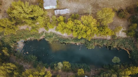 Drone-shot-over-small-lake-between-trees-and-bushes-with-reflection-of-the-sky