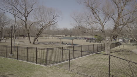 This-is-a-wide-shot-of-Dogs-playing-and-running-in-a-dog-park