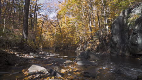 Colorful-fall-stream-with-autumn-leaves-falling-in-slow-motion-static