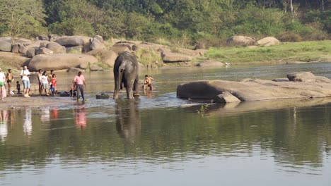 People-giving-elephant-a-bath-in-the-river-in-Hampi,-India,-Karnakata