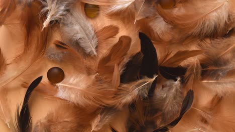 Top-view-of-a-minimal-background-with-soft-and-fluffy-white,-brown-and-black-feathers-falling,-near-some-stones,-on-a-light-wooden-background