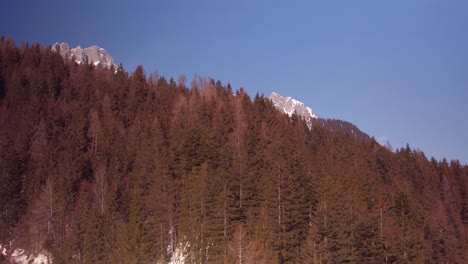 Ein-Flug-über-Einen-Wald-Mit-Einer-Neigung-Nach-Oben,-Die-Den-Blick-Auf-Die-österreichischen-Berge-Freigibt