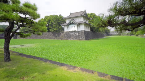 Tilt-up-of-moat-and-guard-tower-at-Imperial-Palace-Tokyo,-Japan