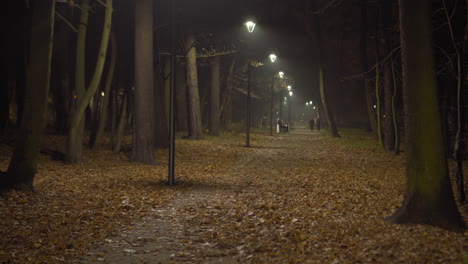 Spooky-tree-avenue-at-night
