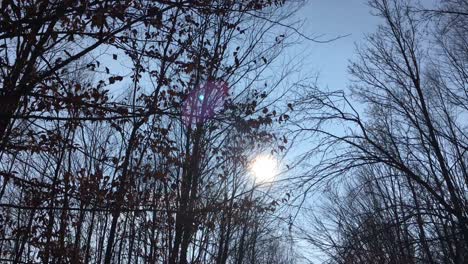 Walking-on-a-forest-road-with-the-sun-up-in-the-sky-and-the-sunlight-getting-through-the-tree-branches-on-early-spring-season