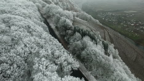 Flying-over-beautiful-icy-snow-covered-trees-on-top-of-the-hill-in-the-Moselle-valley