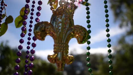 Sunny-outdoor-Mardi-Gras-beads-and-fleur-de-lis-on-tree-branch-blowing-in-wind