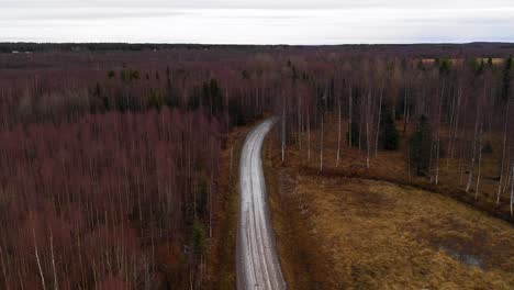 Aerial-view-of-road-with-some-snow-going-into-the-forest