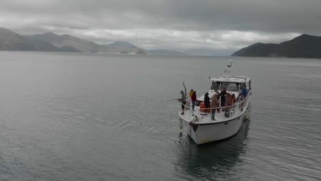 Gente-Pescando-En-Un-Barco-De-Crucero-Anclado-En-La-Bahía-En-Los-Sonidos-De-Marlborough,-Nueva-Zelanda