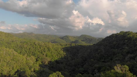 drone-shot-of-Caribbean-forest
