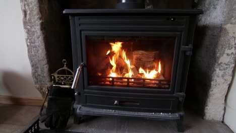 Wood-stove-with-small-logs-on-fire-inside-chamber-of-heating-appliance