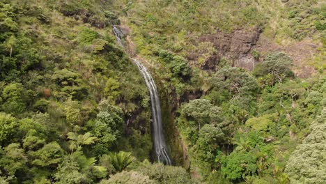 Volando-Hacia-Las-Hermosas-Cataratas-De-Kitekite-En-La-Naturaleza-Nativa-De-Nueva-Zelanda