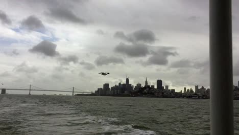A-bird-flies-low-over-the-San-Francisco-Bay-following-a-ferry-boat-on-a-dull-grey-day