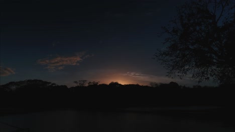 Atemberaubender-Sonnenuntergang-über-Einem-See-Mit-Schlafenden-Vögeln-Auf-Den-Bäumen-Für-Die-Nacht