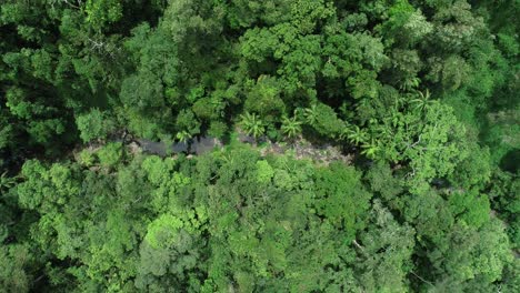 Aerial-panning-shot-through-jungle-looking-forest-with-creek-flowing