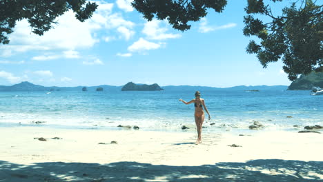Girl-in-bikini-walks-on-beach