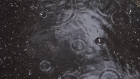 Regen-Bildet-Eine-Pfütze,-Die-Spritzt-Und-Blasen-Und-Wellen-Erzeugt