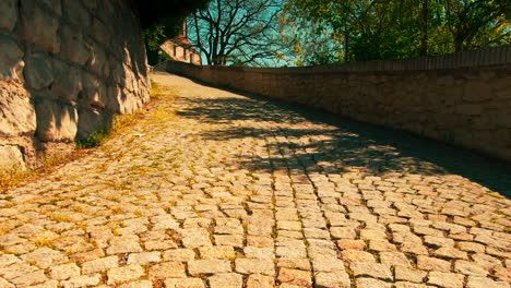 low-Aerial-forward-flight-over-old-cobblestone-road-during-summer