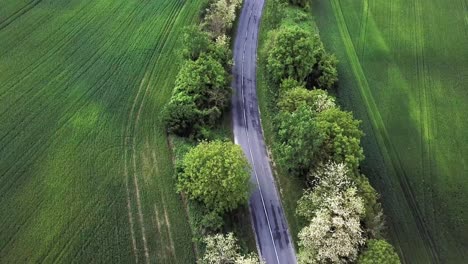 Toma-Aérea-De-Una-Carretera-Con-árboles-Y-Campos-Verdes-A-Los-Lados-Del-Condado-De-Zala-Hungría-Europa