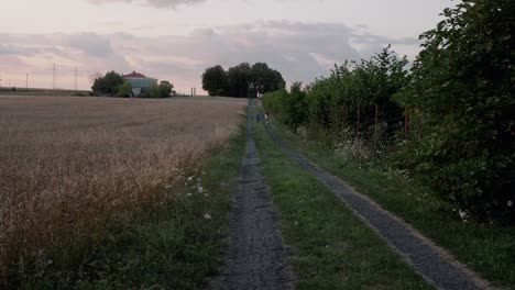 Children-running-in-the-distance-in-the-evening-on-a-country-road-next-to-grain