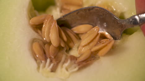 Slow-motion-close-up-of-a-spoon-digging-the-seeds-out-of-a-tender,-ripe,-honeydew-melon