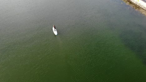 Drone-footage-of-a-SUP-boarder-paddling-on-green-water