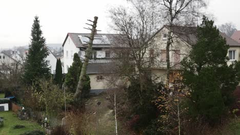 Wide-shot-of-a-falling-tree-in-a-private-garden-near-a-one-family-home-on-a-cloudy-cold-day