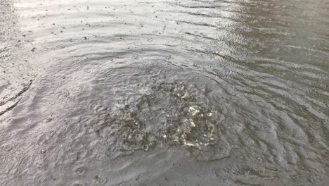 Überlaufendes-Abwasser-Aufgrund-Starker-Regenfälle