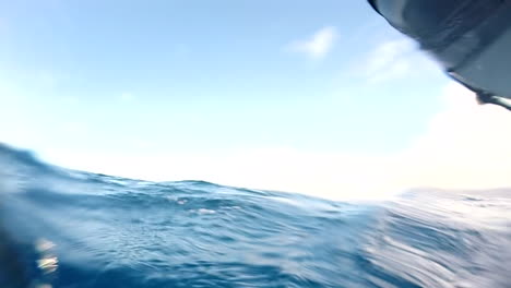 A-couple-of-dolphins-swim-near-a-speedboat-underwater-shot