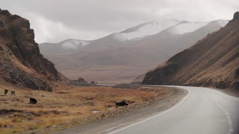 Conduciendo-Alrededor-De-Naryn,-Kirguistán,-Hermosos-Paisajes-Salvajes-Vírgenes