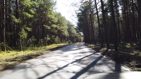 Conduciendo-Por-La-Carretera-Forestal-Con-Un-Coche-Durante-El-Día-Soleado