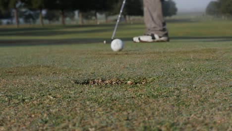 Golfer-Verfehlt-Putt-Auf-Dem-Grün,-Flachschlag-Und-Zeitlupe