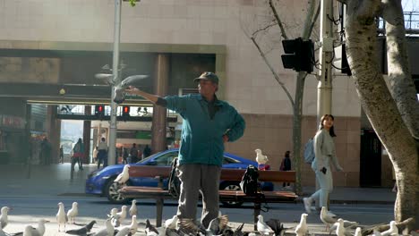 Homeless-Man-Feeding-City-Birds-Pigeons