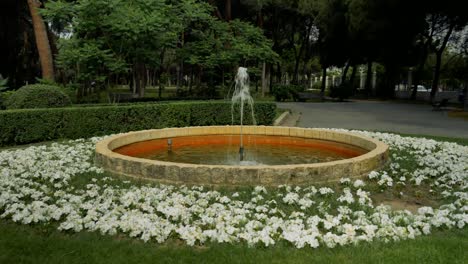 A-shot-around-a-ornamental-pond-with-a-waterjet-in-its-centre,-located-between-white-flowers