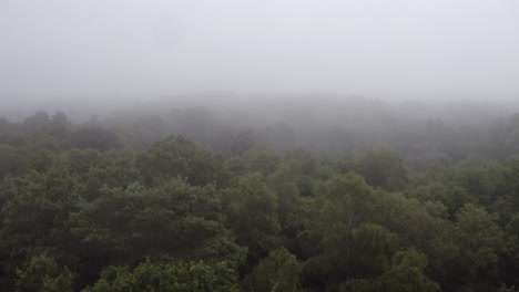 Drone-aerial-shot-tracking-backwards-over-trees-in-thick-mist-and-fog