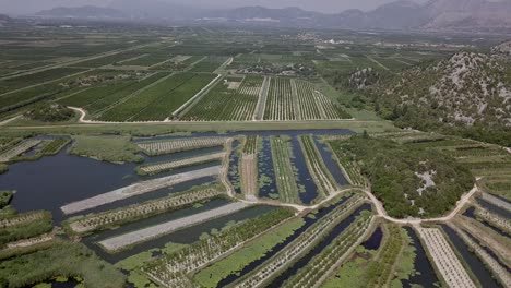 Luftaufnahme:-Grüne-Plantagen-In-Kroatien