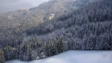 The-picturesque-church-of-Sveti-Tomaz-on-the-top-of-the-hill-in-central-Slovenia-during-winter