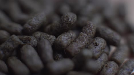 Macro-food-pellets-fish-food-light-sweep-short-dramatic-and-cinematic