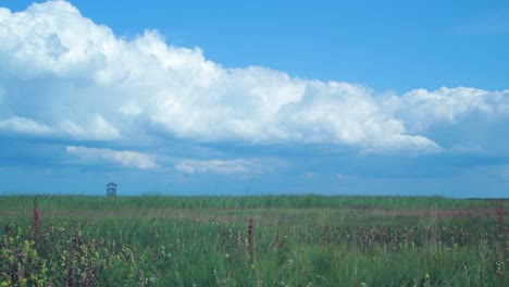 Time-lapse-of-beautiful-white-fast-moving-puffy-cumulus-clouds-at-footbridge-path-and-birdwatching-tower-at-lake-Liepaja-reed-field-in-sunny-summer-day,-wide-shot