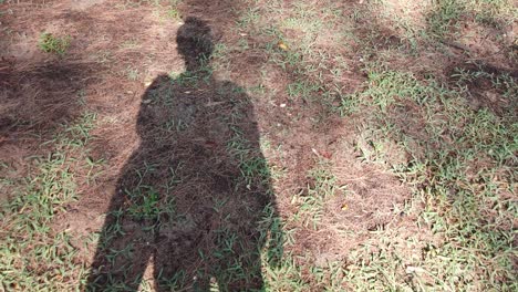 Blick-Auf-Den-Grasboden-Mit-Dem-Schatten-Eines-Mannes-Beim-Gehen-Auf-Dem-Grünen-Gras-In-4K-UHD-Zeitlupenvideo-Bei-Sonnenuntergang-Am-Tag