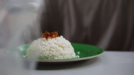 Shot-of-a-person-about-to-eat-a-plate-with-a-scoop-of-rice-on-it