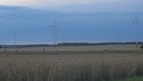 Wind-turbine-farm-producing-renewable-energy-for-green-ecological-world-at-beautiful-sunset,-ripe-golden-wheat-field-in-the-foreground,-wide-shot
