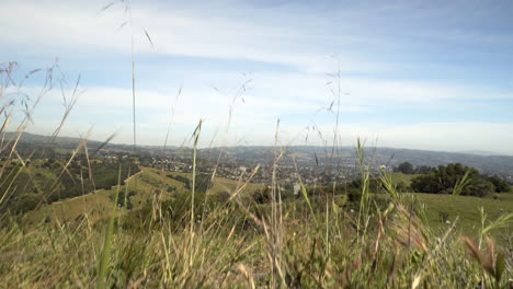 City-view-of-Castro-Valley,-California