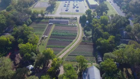 AERIAL:360-descending-view-of-a-working-farm-in-Austin,-Texas-filled-with-rows-of-vegetables-and-greenery