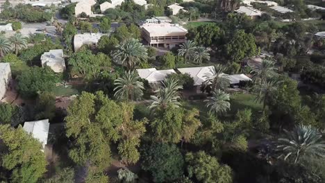 Aerial-drone-shot-flying-above-a-kibbutz-community-in-the-Israel-desert