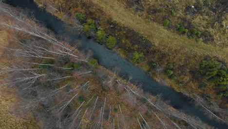 Aerial,-descending,-top-down,-birdseye,-drone-shot,-above-a-river,-surrounded-by-leafless,-autumn-forest,-on-a-cold,-cloudy,-fall-day,-in-Juuka,-North-Karelia,-Finland