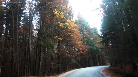 Driving-through-woods-in-autumn,-fall-foliage,-wilderness-and-outback-driving