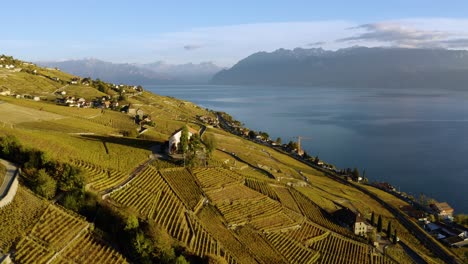 Aerial-shot-descending-and-passing-close-to-Chateau-de-Montagny-in-Lavaux-vineyard,-Switzerland-Autumn-colors-and-sunset-light